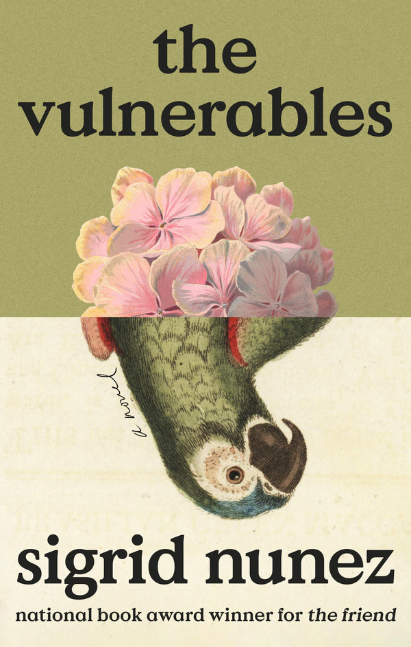 $8.90 – Special price today! – The Vulnerables: A Novel | Riverhead Books | Books | STORE 24 HOURS